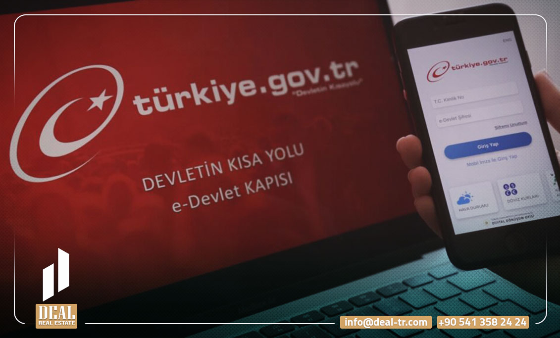 is-it-possible-to-obtain-turkish-citizenship-online