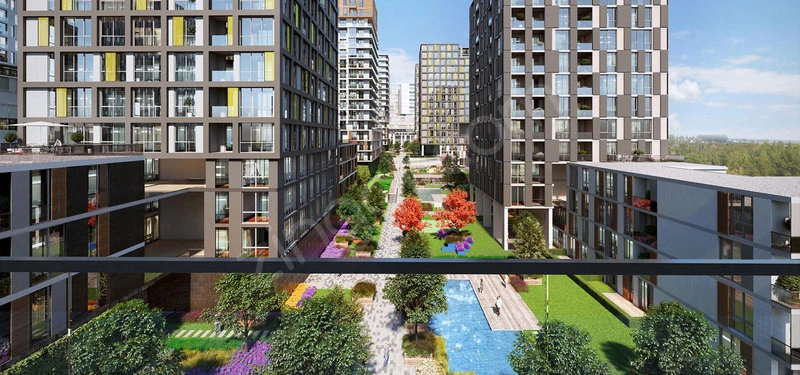 Image of Akzirve Strada