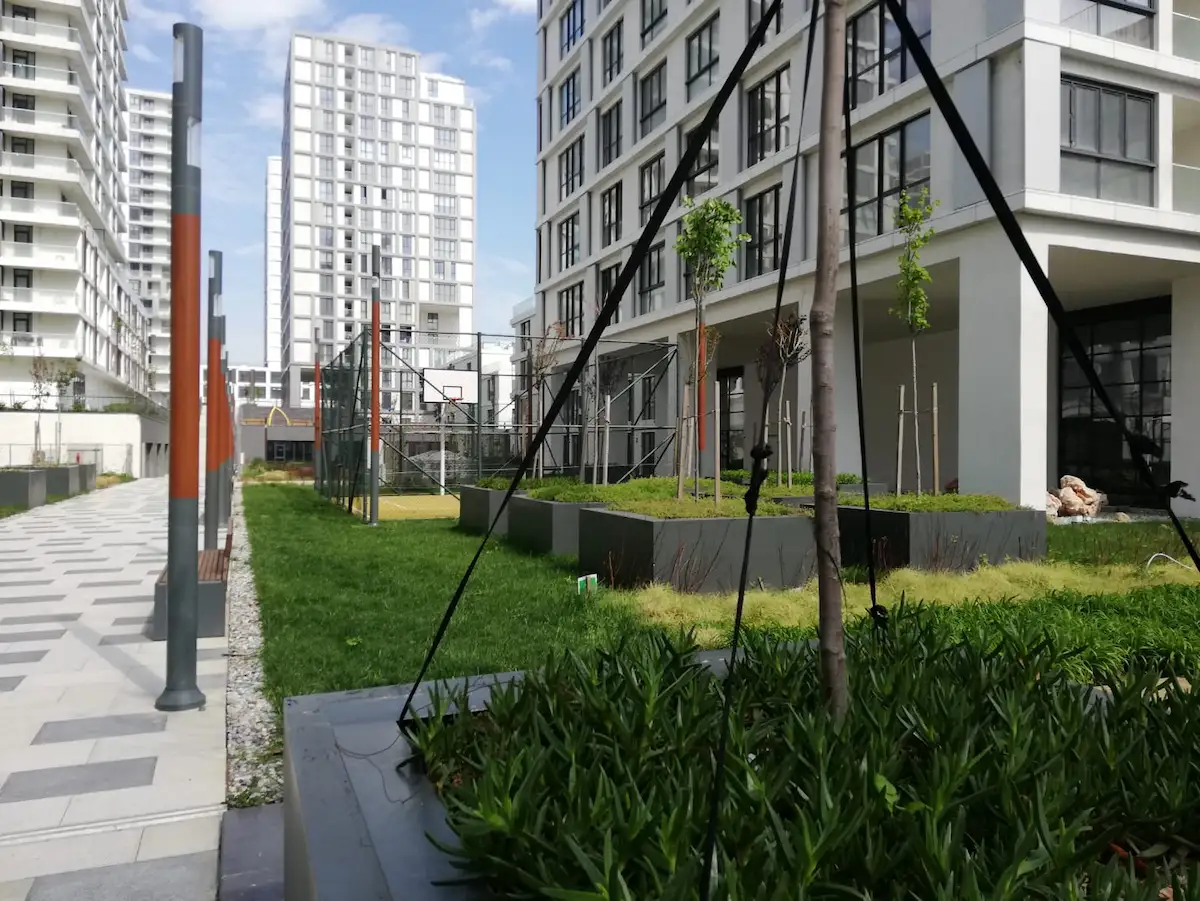 Image of Akzirve Strada