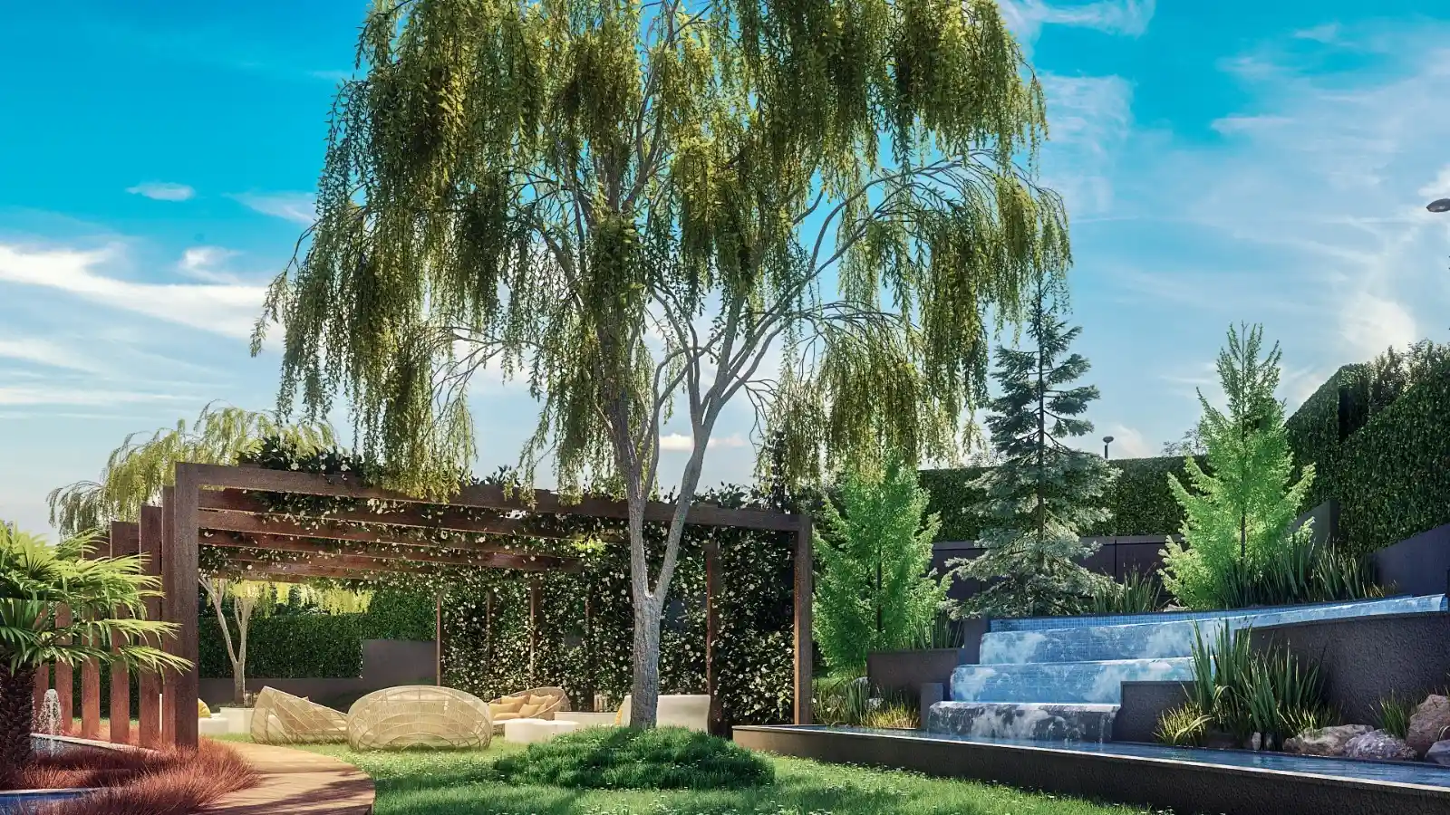 Image of Cuento Elite