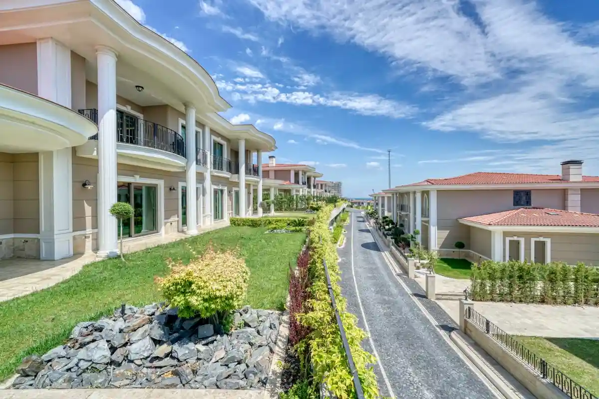 Image of Deniz Istanbul