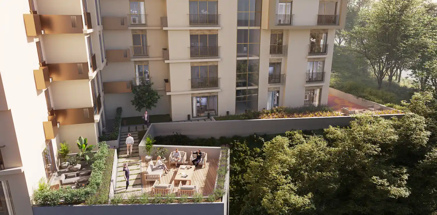 Image of Forev Modern