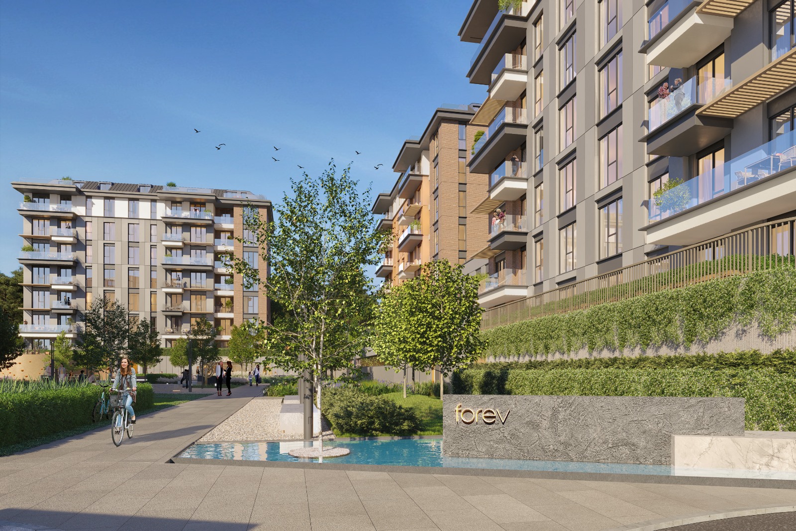 Image of Forev Modern Vadi