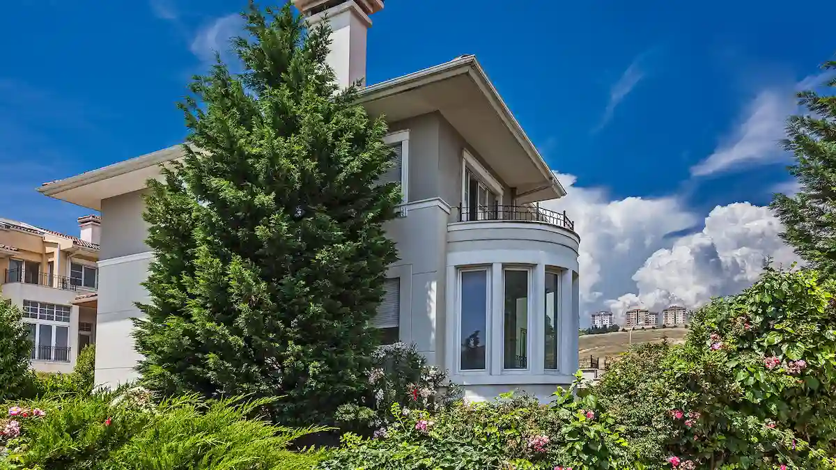 Image of Kalyon Marina