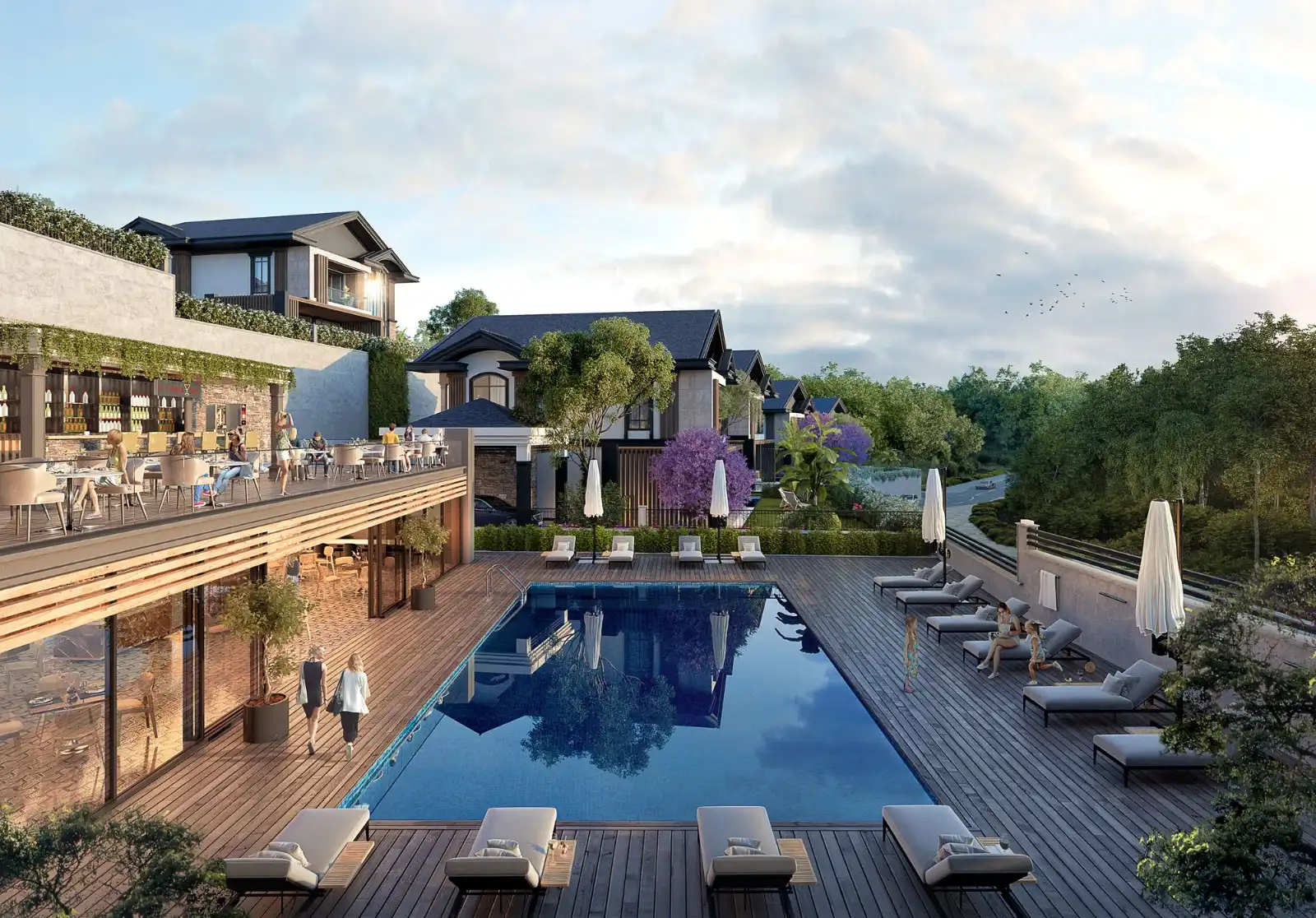 Image of Kirsal Sapanca