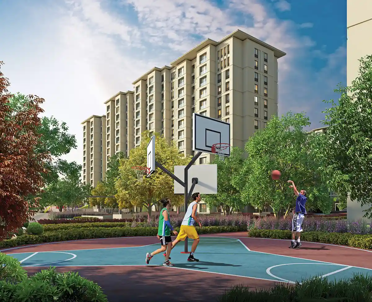 Image of Loca Project