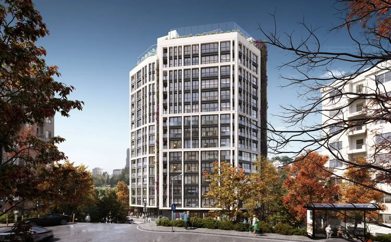 Image of Polat Akatlar