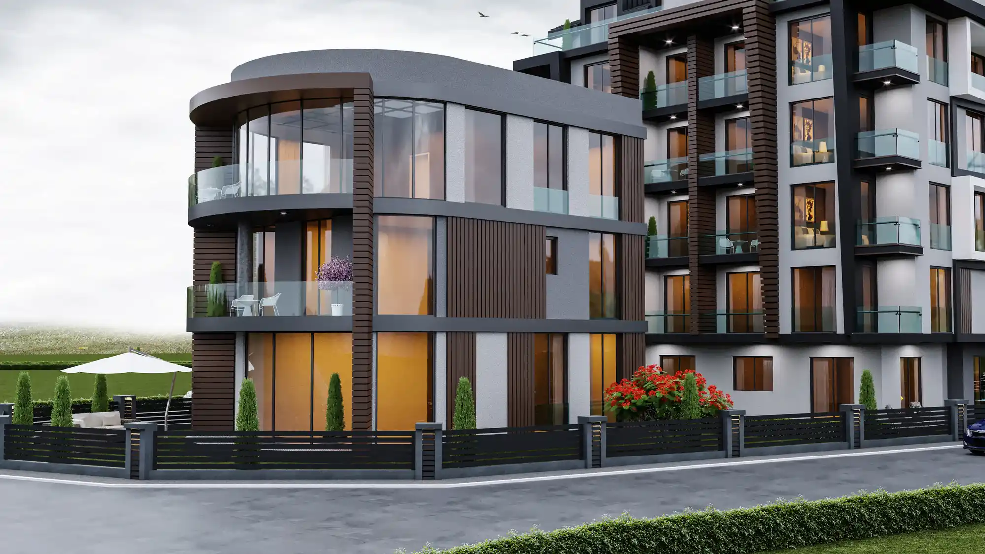 Image of Sea life 41