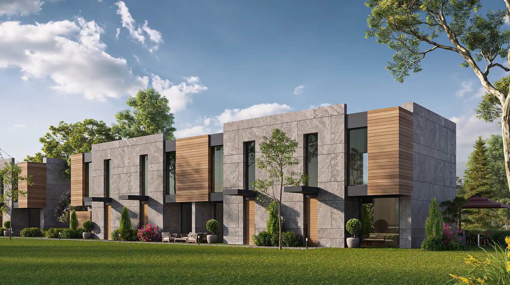 Image of Seba Central