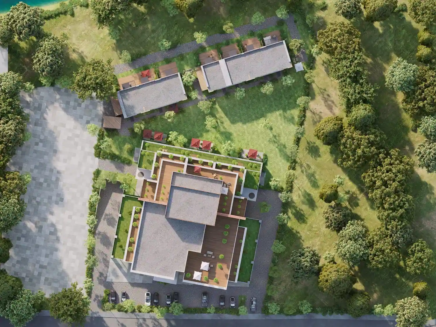 Image of Seba Central