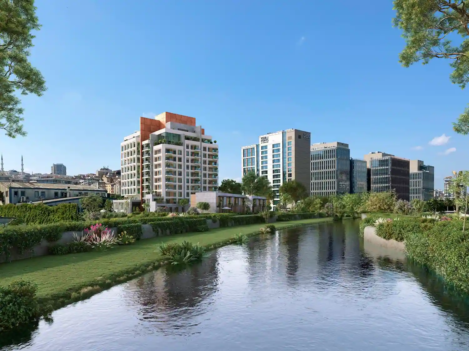 Image of Seba Central