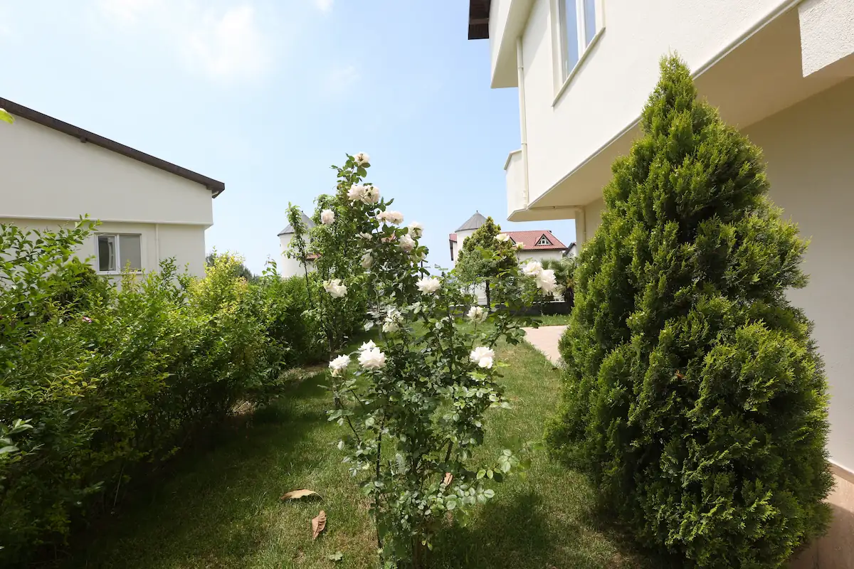 Image of Victorya Villa