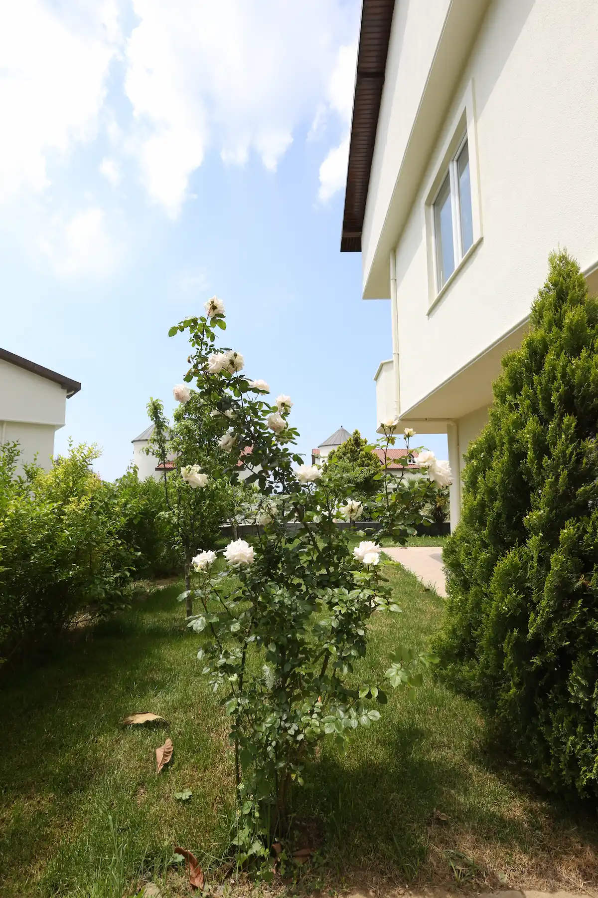 Image of Victorya Villa