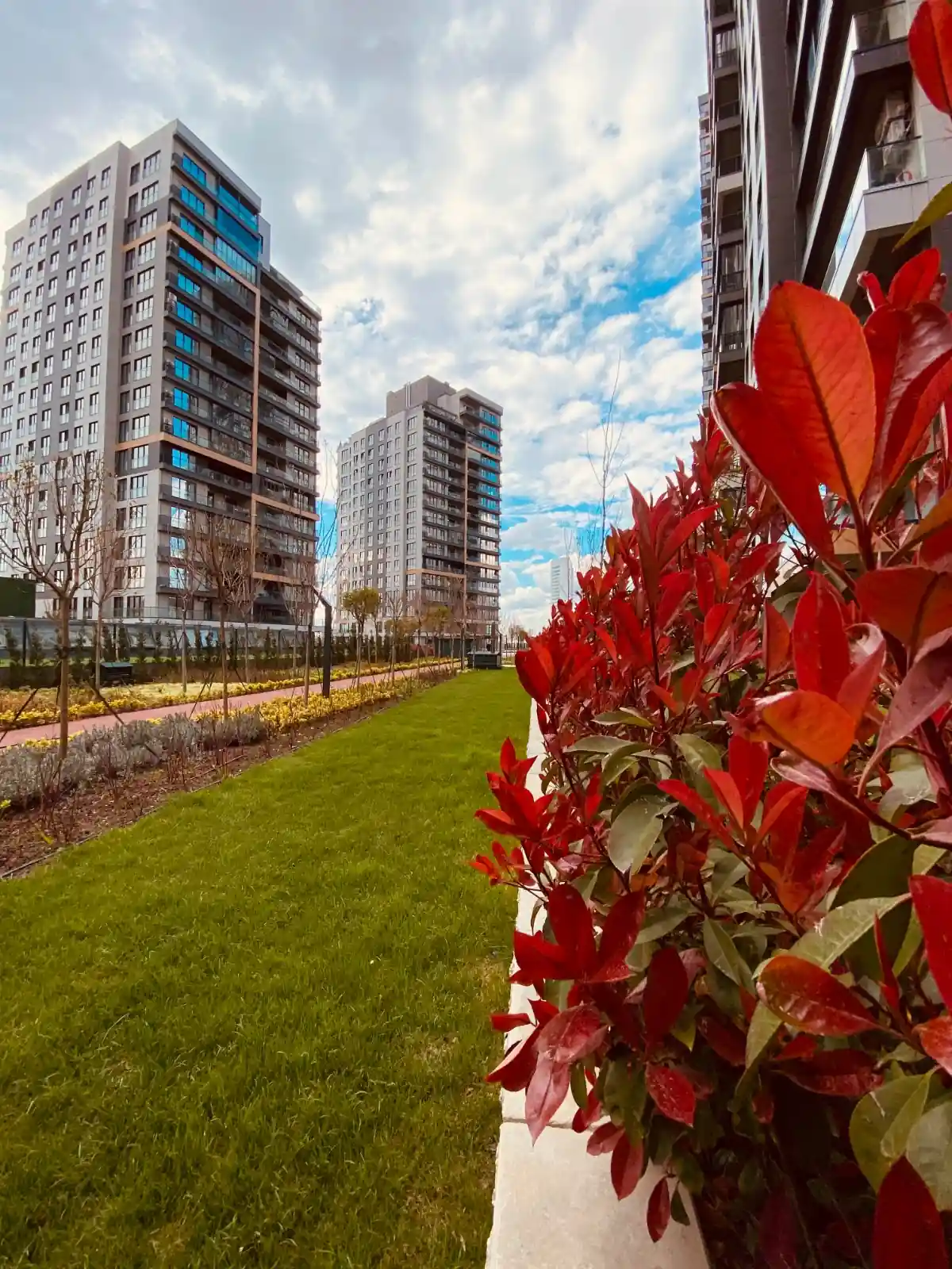 Image of Yaman Avrupa