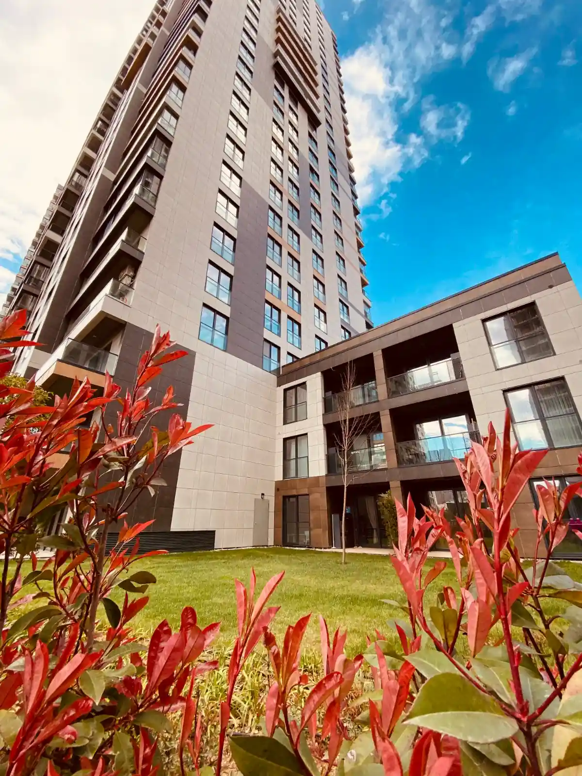 Image of Yaman Avrupa