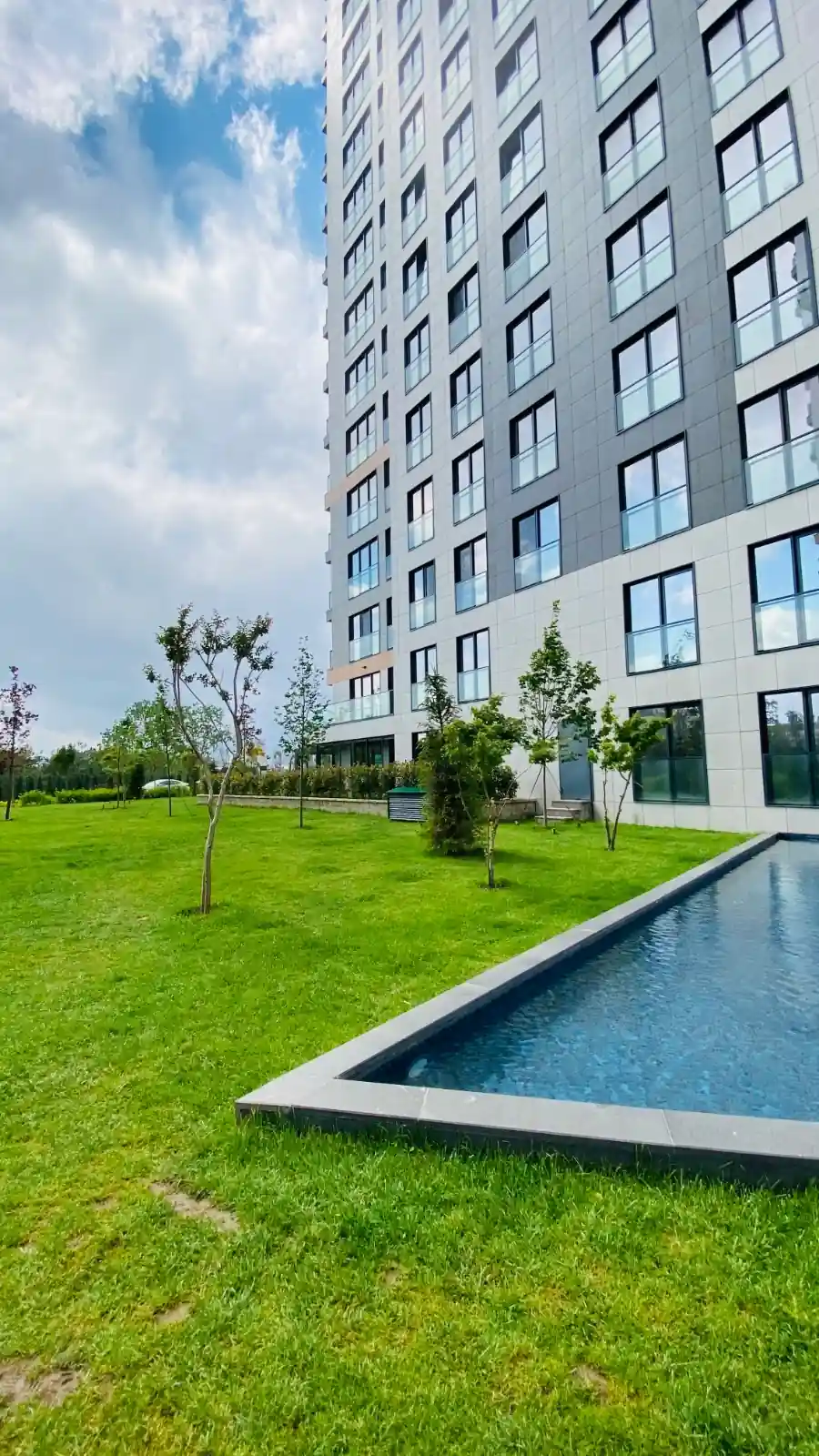 Image of Yaman Avrupa