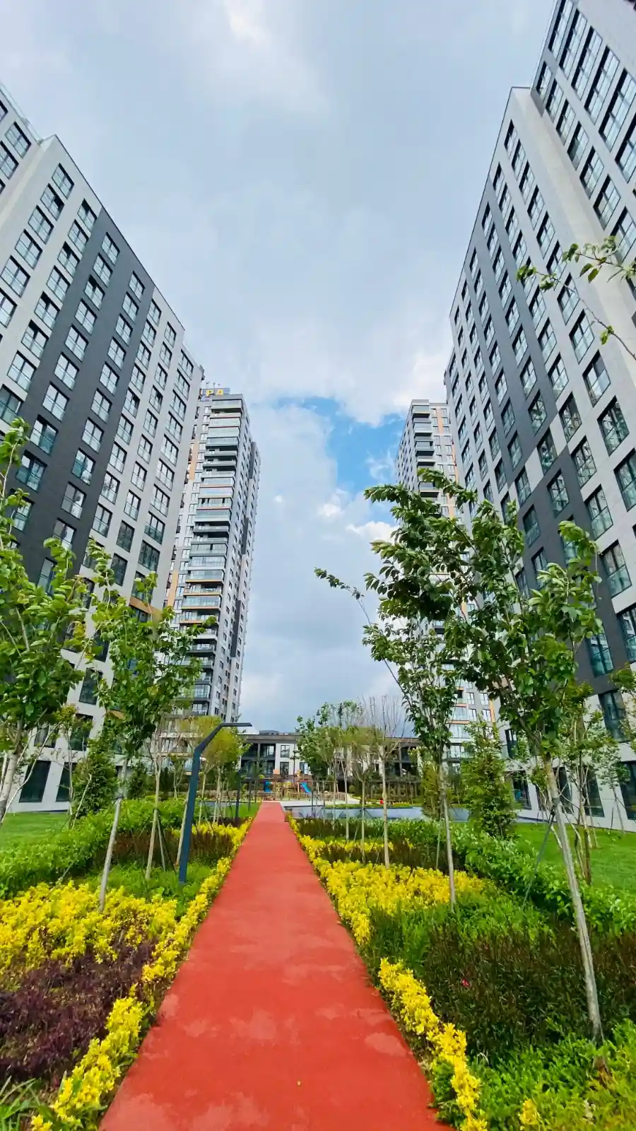 Image of Yaman Avrupa