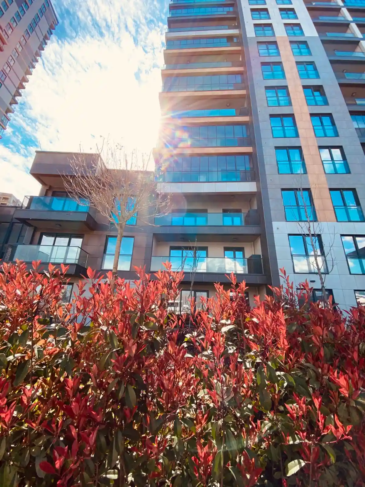 Image of Yaman Avrupa