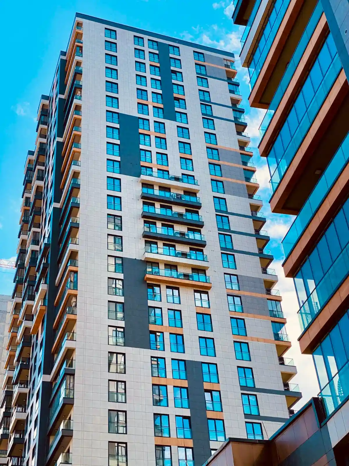 Image of Yaman Avrupa