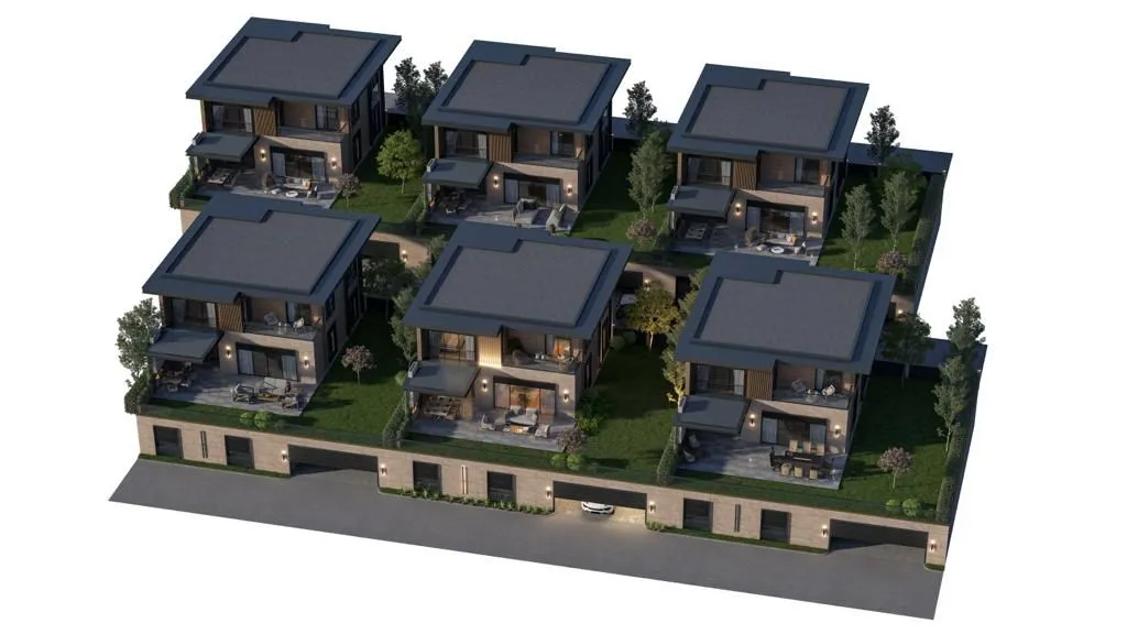 Image of Lilium Bahce